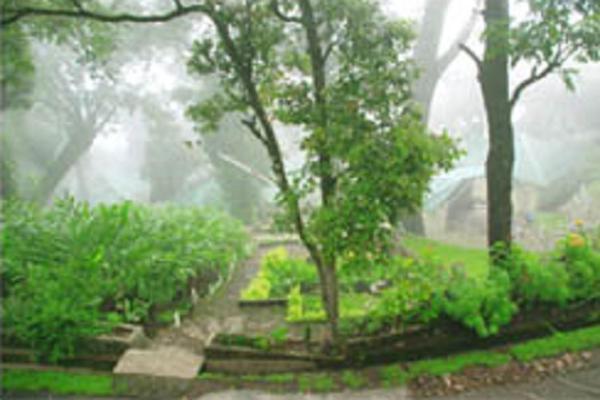 Great Escapes Resorts Munnar Buitenkant foto