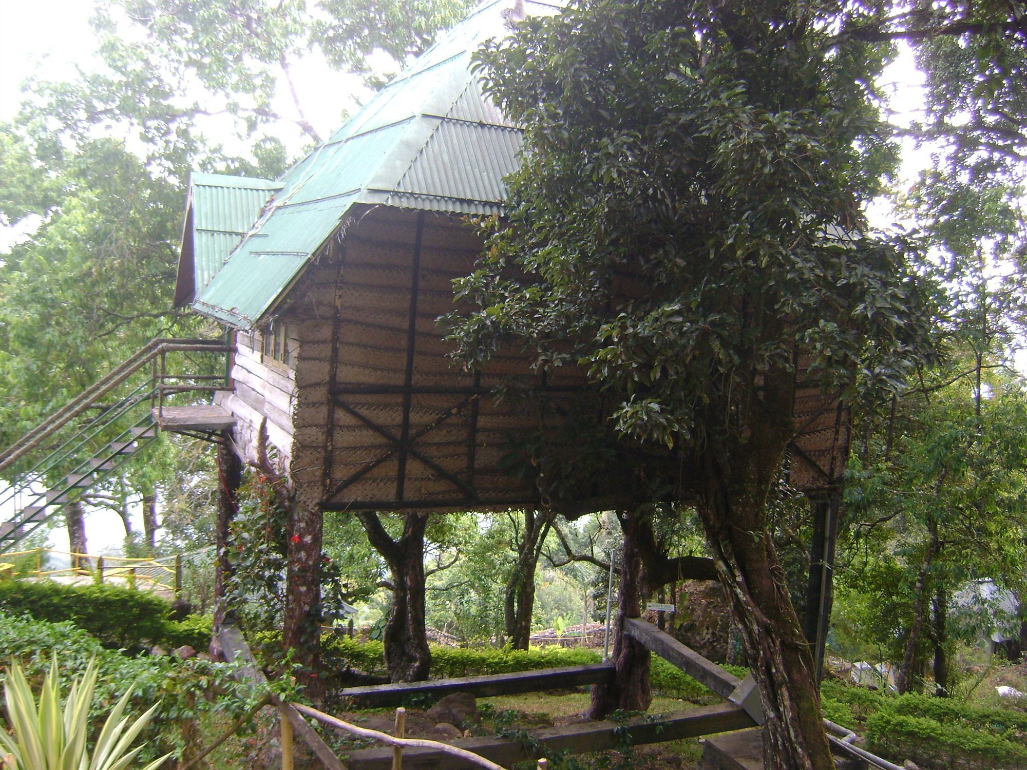 Great Escapes Resorts Munnar Buitenkant foto